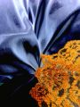dentelle et satin - Les Photos d'Art de Jim d'Arcosmic